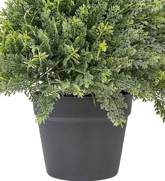 Műnövény CYPRESS SPIRAL TREE 126 cm Zöld