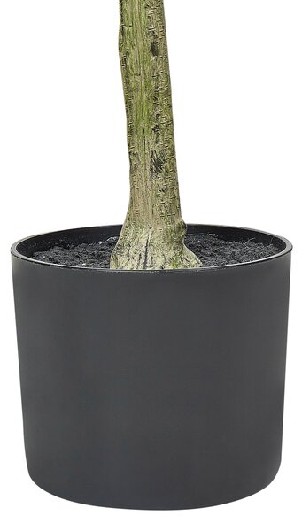 Műnövény OLIVE TREE 153 cm Zöld