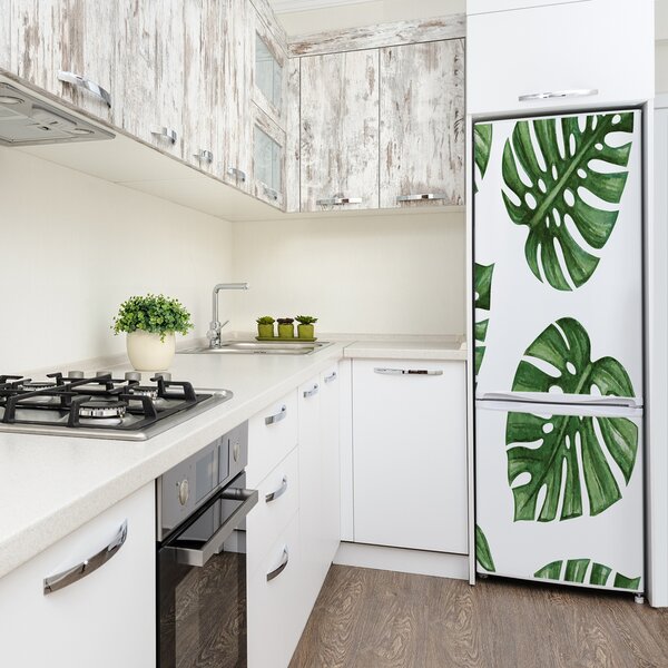 Hűtő matrica Monstera