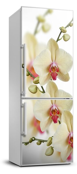 Hűtő matrica Orchidea