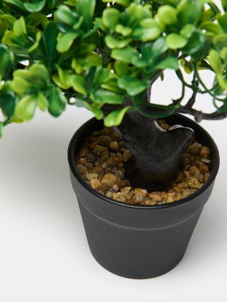 Sinsay - Dísznövény cserépben – bonsai fa - zöld