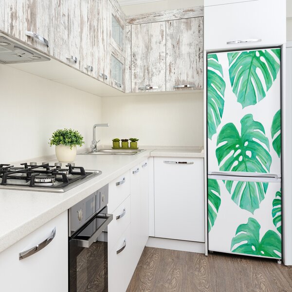 Hűtő matrica Monstera