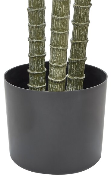 Műnövény DRACAENA ANITA 198 cm Zöld