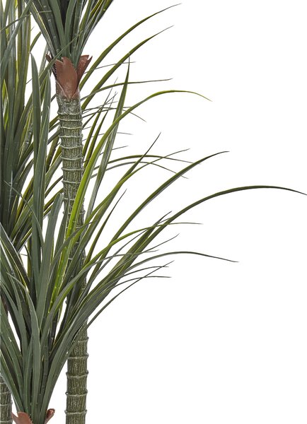 Műnövény DRACAENA ANITA 198 cm Zöld