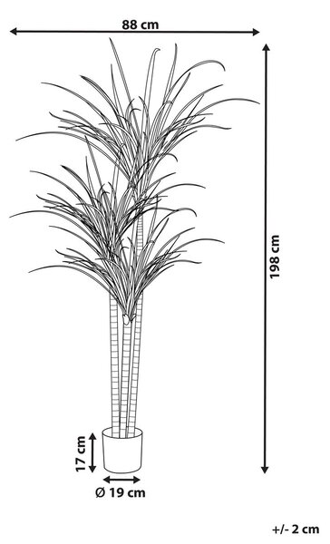 Műnövény DRACAENA ANITA 198 cm Zöld