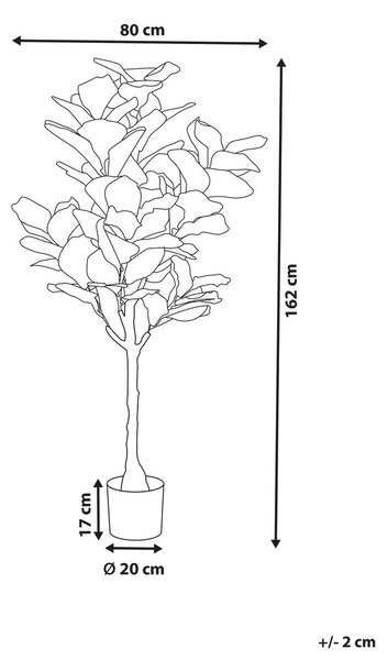 Műnövény FIG TREE 162 cm Zöld