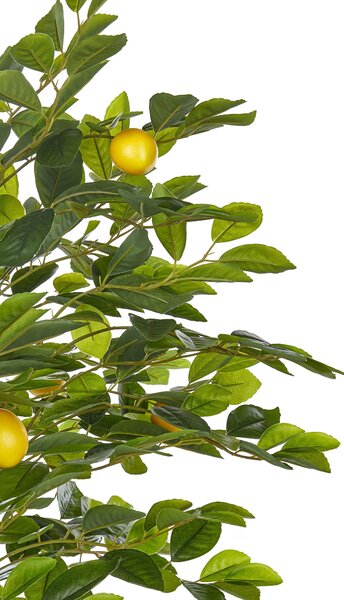 Műnövény LEMON TREE 156 cm Zöld