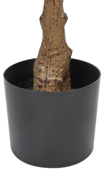 Műnövény FIG TREE 162 cm Zöld