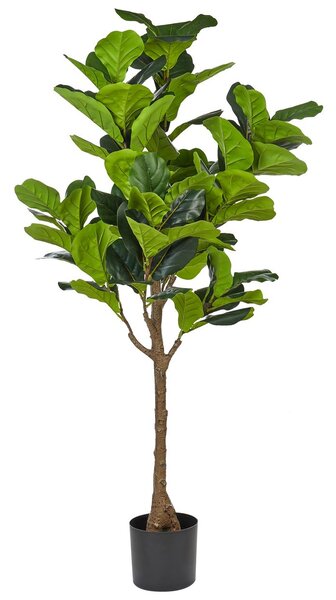 Műnövény FIG TREE 162 cm Zöld