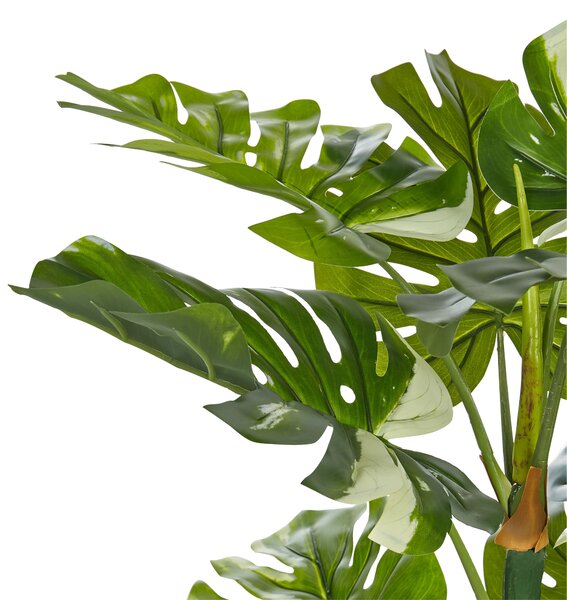 Műnövény MONSTERA PLANT 135 cm Zöld