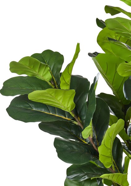 Műnövény FIG TREE 162 cm Zöld