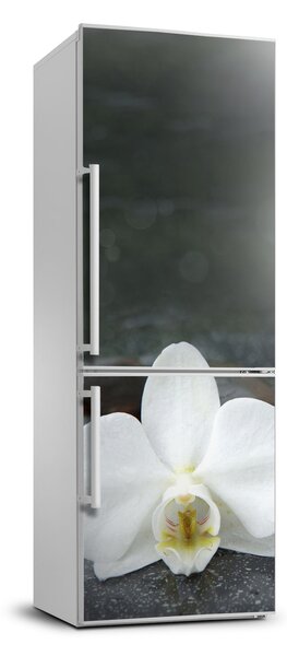 Hűtő matrica Orchidea