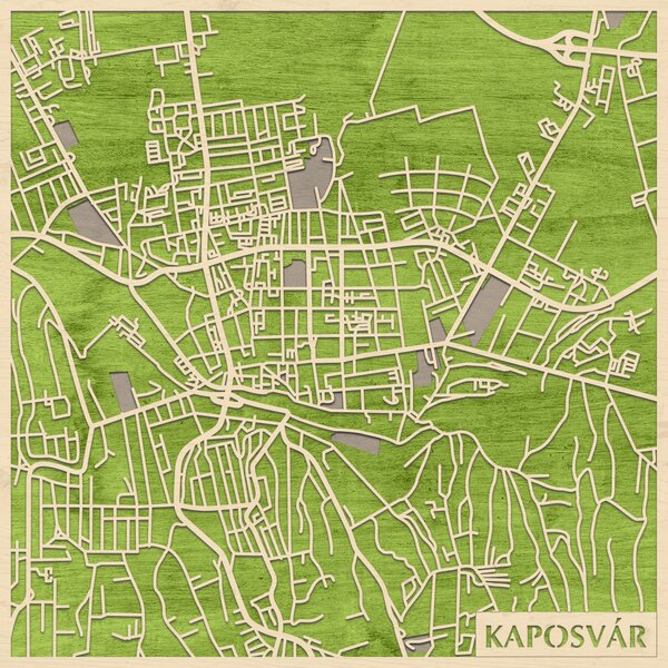 Kaposvár 3D fa várostérkép fali dekoráció – Natura Products