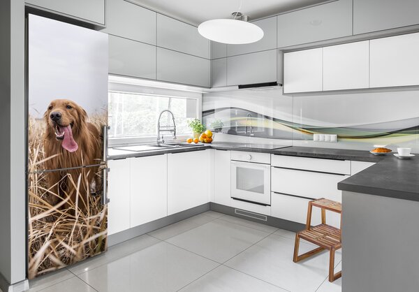 Hűtő matrica Golden retriever
