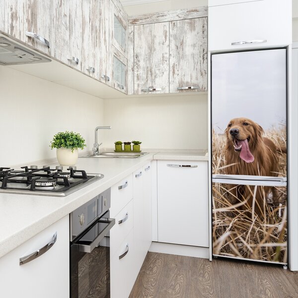 Hűtő matrica Golden retriever