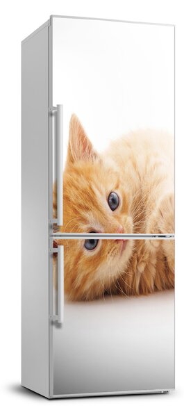 Matrica hűtőre Kis gyömbér macska