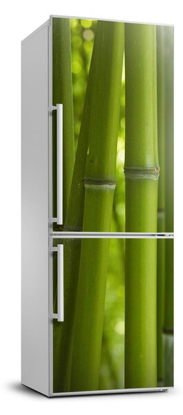 Matrica hűtőre Bambusz erdő