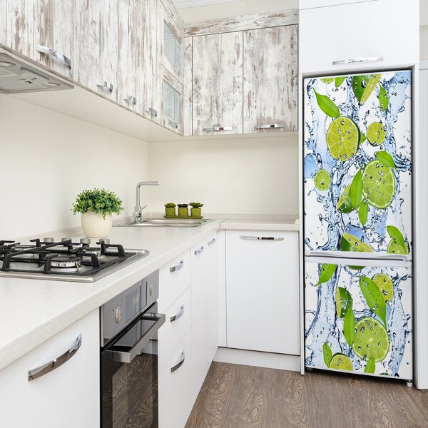 Matrica hűtőre Mész és víz