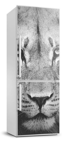 Matrica hűtőre Portré egy oroszlán xl