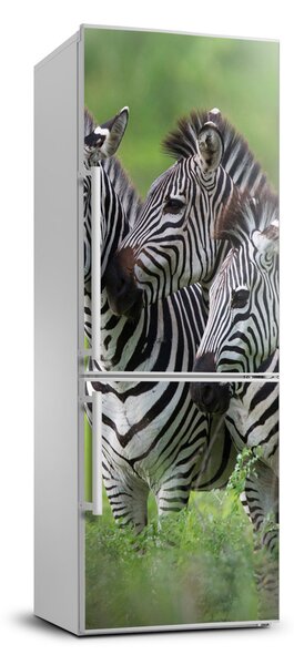 Matrica hűtőre Három zebrák