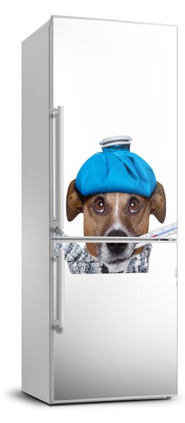 Matrica hűtőre Beteg kutya