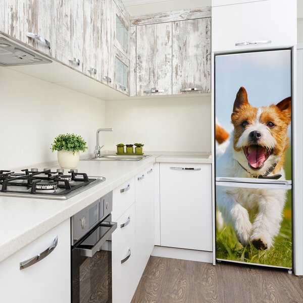 Matrica hűtőre Jack russell kutya