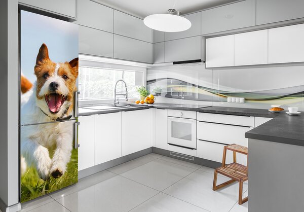 Matrica hűtőre Jack russell kutya