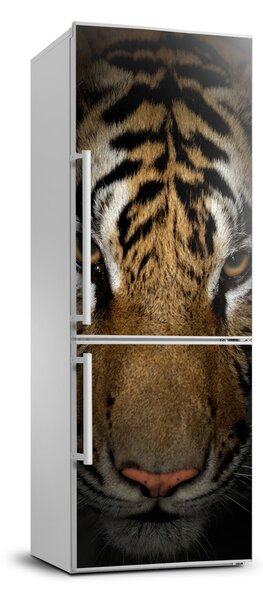 Hűtőre ragasztható matrica Tigris