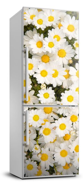 Hűtőre ragasztható matrica Százszorszép virágok