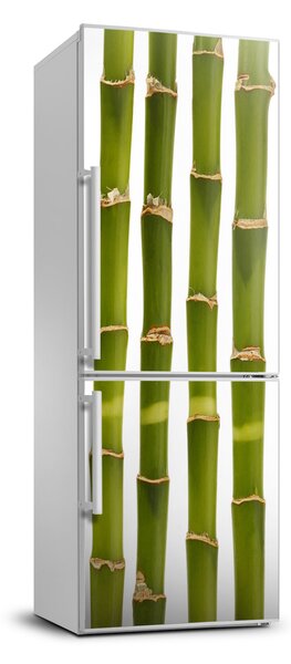Dekor matrica hűtőre Bambusz