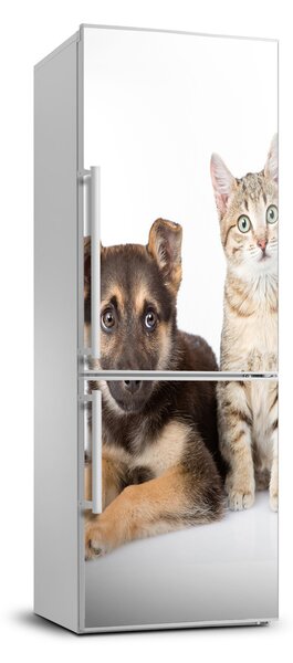 Dekor matrica hűtőre Kutya és macska