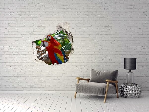 3d fali matrica lyuk a falban Ara papagáj