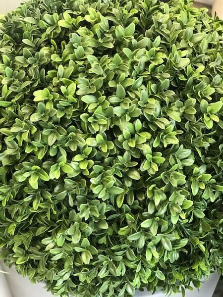 Mű buxus 50 cm – UV-álló gömbfa kertbe - 31 - 50 cm