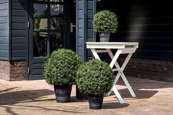 Mű buxus 50 cm – UV-álló gömbfa kertbe - 31 - 50 cm