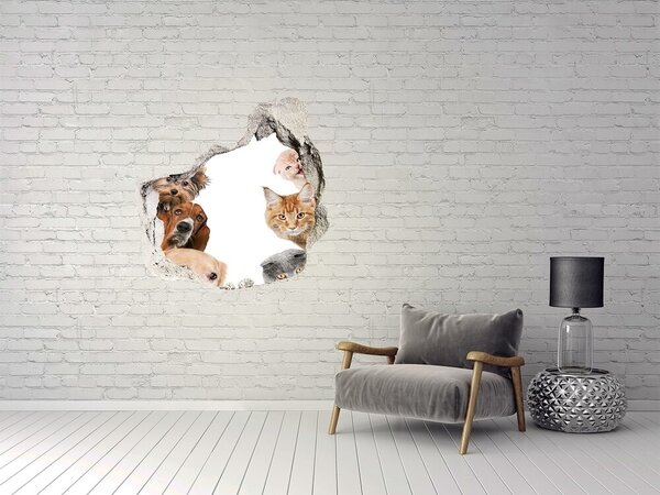 3d fali matrica lyuk a falban Kutyák és macskák