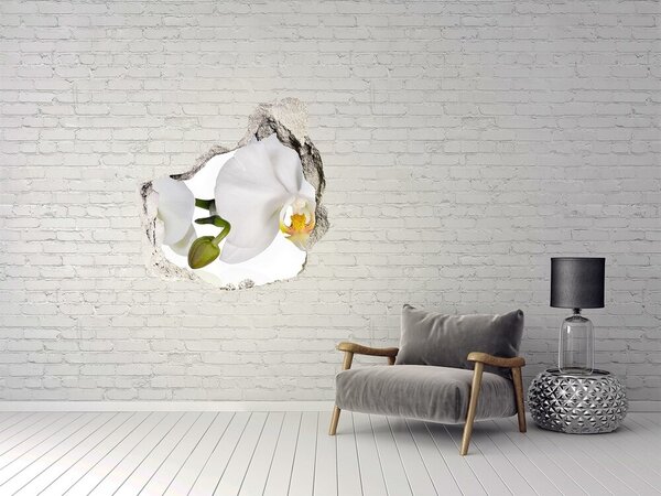 3d fali matrica lyuk a falban Orchidea
