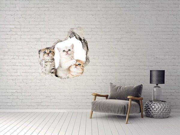 3d-s lyukat fali matrica Matrica kis macska