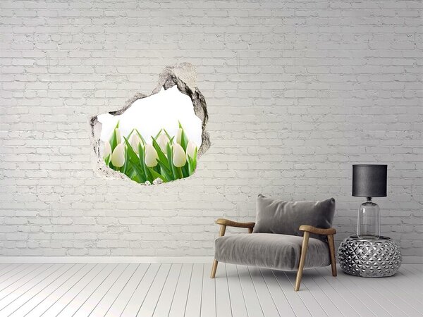 3d-s lyukat fali matrica Fehér tulipán