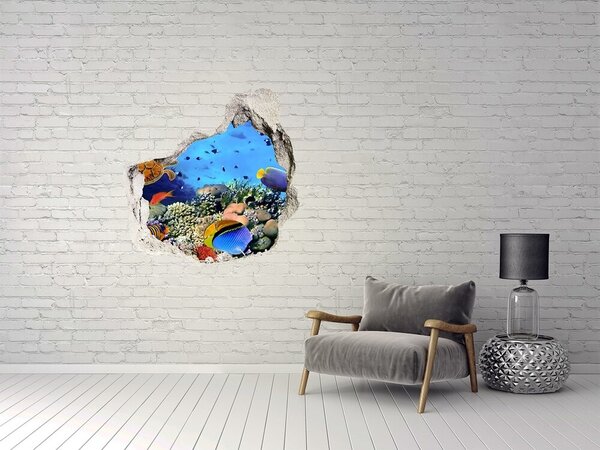 3d-s lyukat fali matrica Korallzátony