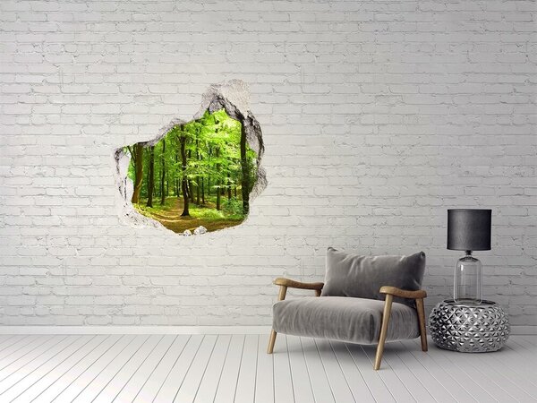 3d-s lyukat fali matrica Erdei pálya