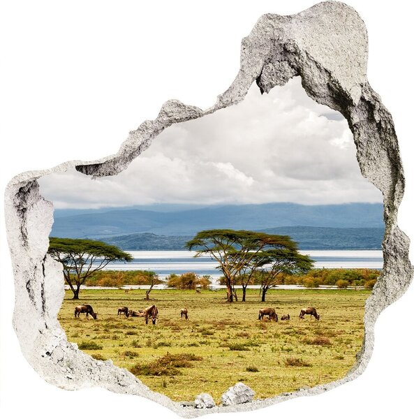 3d-s lyuk vizuális effektusok matrica Lake naivasha