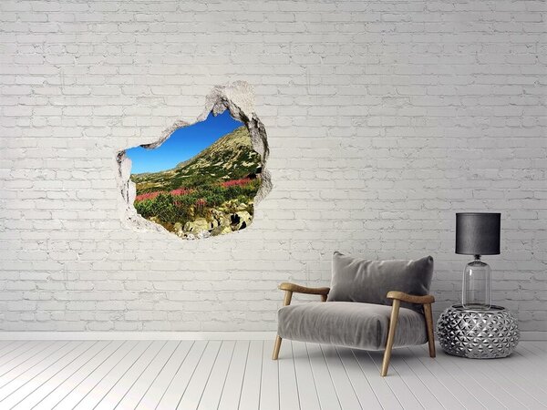 3d-s lyuk vizuális effektusok matrica Bacówka a völgyben