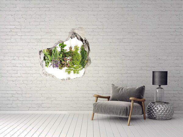 3d-s lyuk vizuális effektusok matrica Herbs egy húr