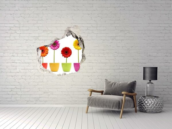 3d-s lyuk vizuális effektusok matrica Színes gerbera