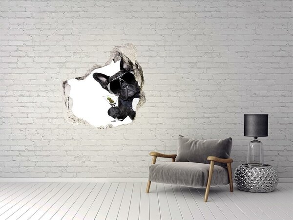 3d-s lyuk vizuális effektusok matrica Kutya martini