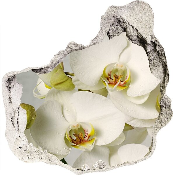 3d-s lyuk vizuális effektusok matrica Fehér orchidea