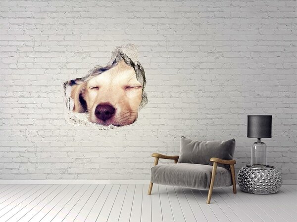 3d-s lyuk vizuális effektusok matrica Kölyök és macskák