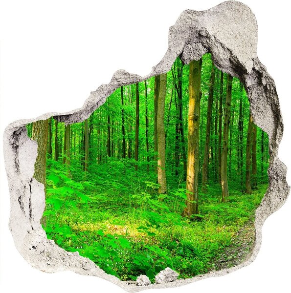 3d-s lyuk vizuális effektusok matrica Fák az erdőben