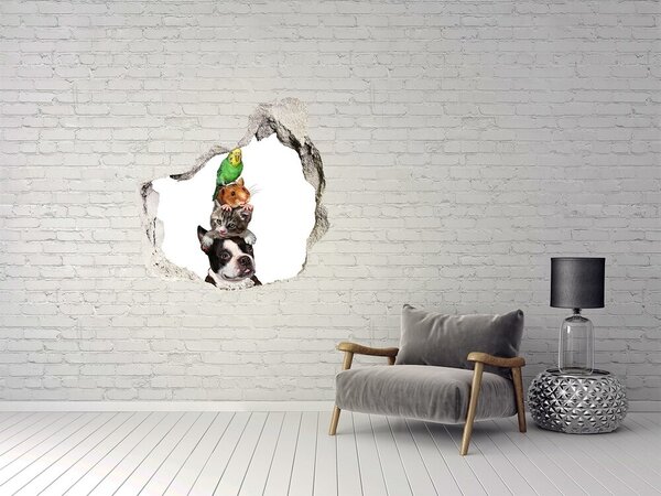 3d lyuk fal dekoráció Állatcsoport