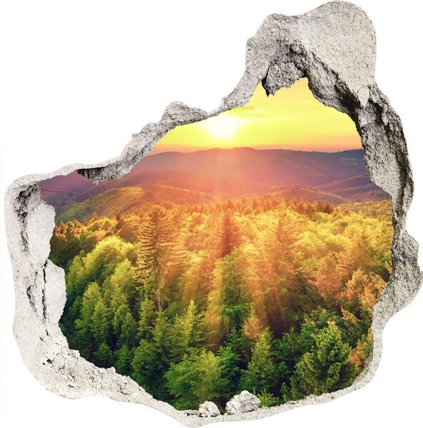 3d lyuk fal dekoráció Forest naplemente